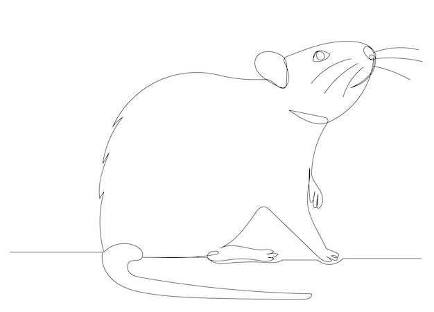 mouse, drawing by one continuous line, sketch, vector