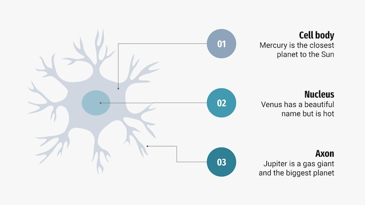 Vektor neuron infographics