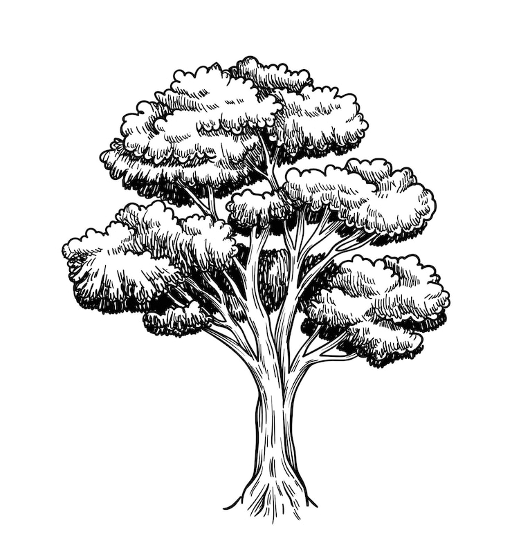 Vektor oak trees hand drawn sketch minimalistic creativity and art engraved silhouette of plant sticker for social networks linear flat vector illustration isolated on white background