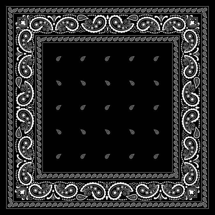 Vektor paisley etnický květinový ručně kreslený šátek bandana