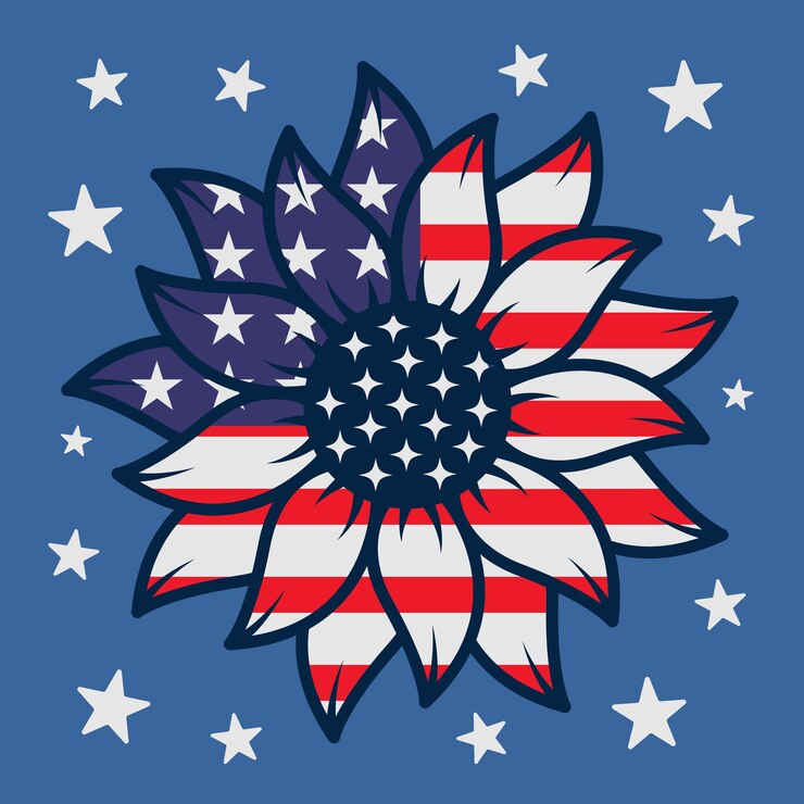 Vektor patriotic shadow box usa 3d background