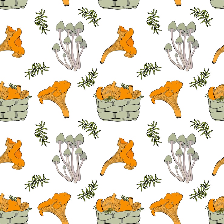 Vektor pattern with mushrooms and basket of chanterelles moss and family mycena white background