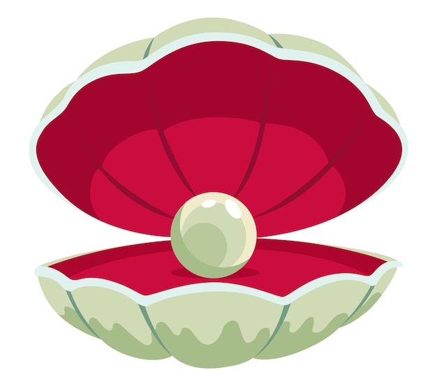 pearl in seashell open seashels scallop and pearl shell icon beautiful pearl in clam shell in