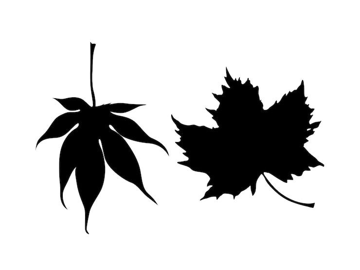 Vektor plant silhouettes as vector images