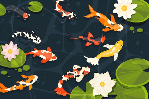 pond with koi fish exotic decorative goldfish cartoon chinese carp swimming in lake with lotus flowers in cartoon style vector illustration aquatic asian animals with blooming plants
