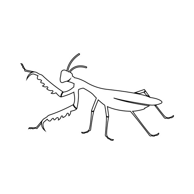 praying mantis icon symbol sign vector