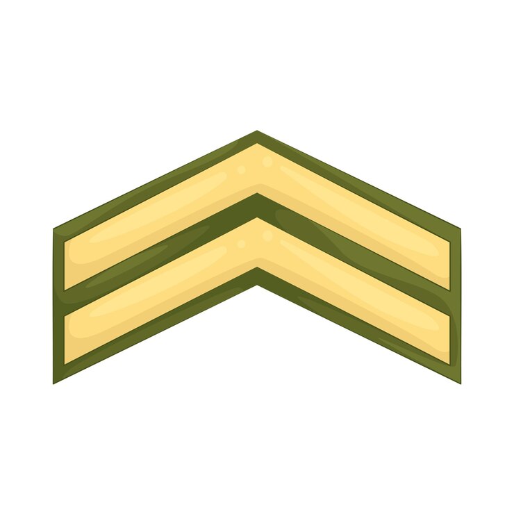 Vektor rank insignia