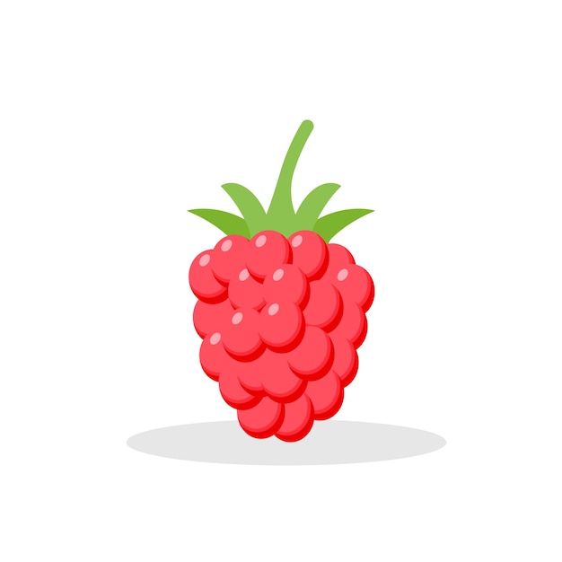 Raspberry with leaf isolated on white background Vector illustration