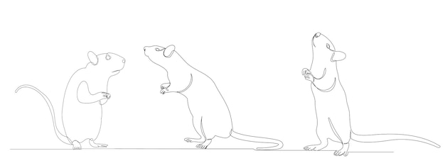 Rat, mouse one continuous line drawing, vector, isolated