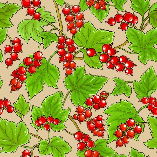 red currant branches pattern on color background