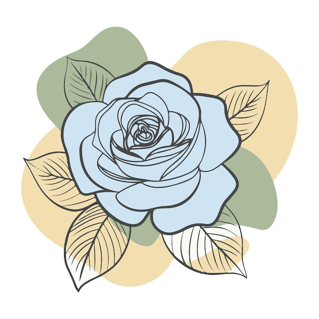 rose line art vector illustration with color blobs style