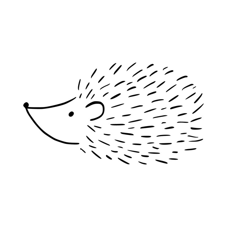 Roztomilý kreslený ježek, izolovaná vektorová ilustrace. Ručně kreslený rozkošný ježek