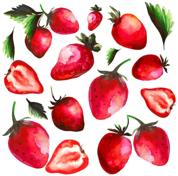 Sada jahod s zelenými listy, akvarelová ilustrace