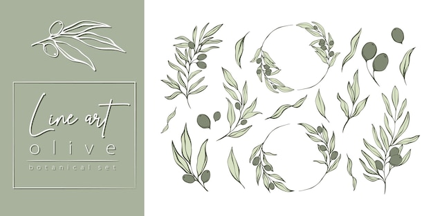 Sada olivových větví a listů v minimalistickém stylu. Vektorové ilustrace větví