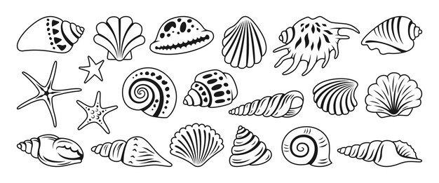 Sea shell sink doodle cartoon set ocean exotic underwater seashell aquatic mollusk marine symbol