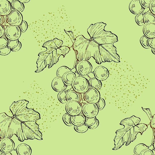Seamless pattern with grape branch