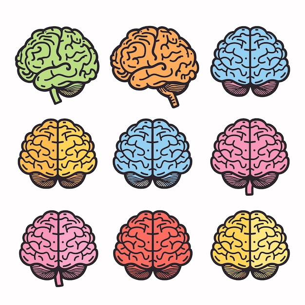 Set colorful brain icons representing different cognitive creative processes Nine different brain