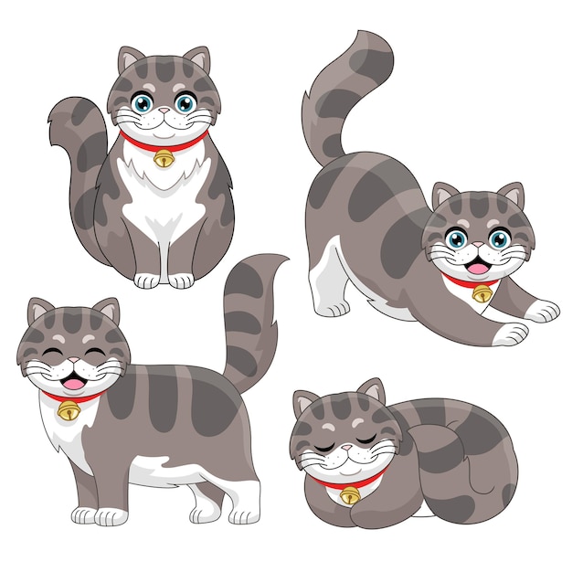 Set of cute long haired cat in various poses