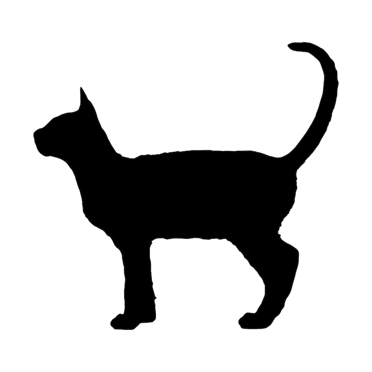 Vektor silhouette of a cat on a white background