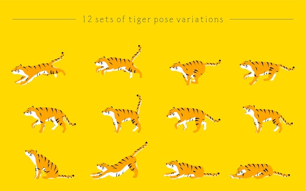 simple tiger pose a series of movements from sleeping to running 12 types