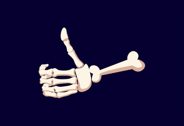 Skeleton of hand