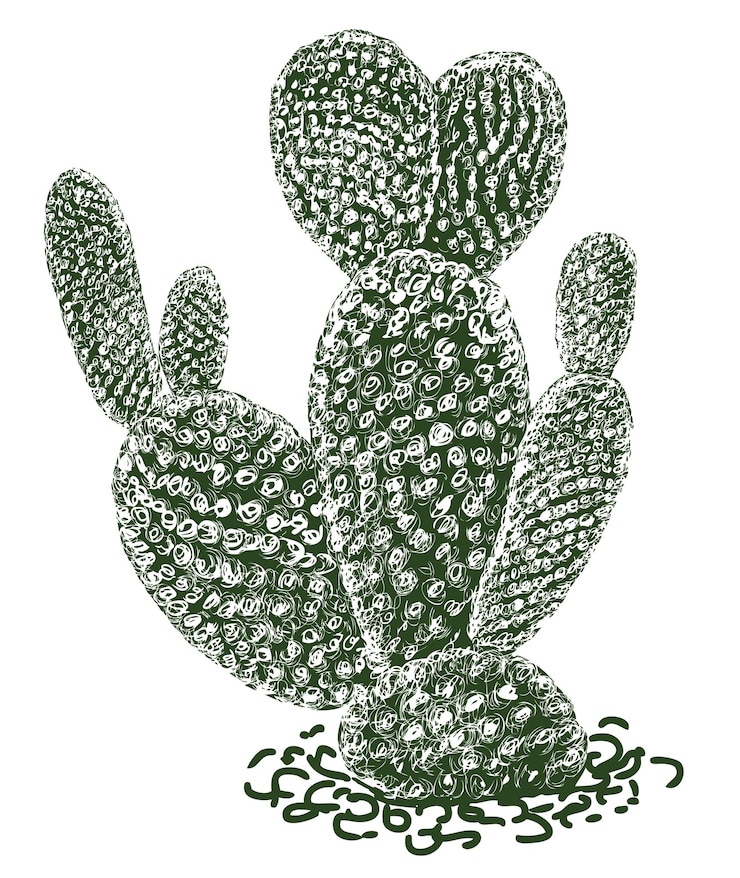 Vektor sketch of one desert cactus vector hand drawings isolated on white