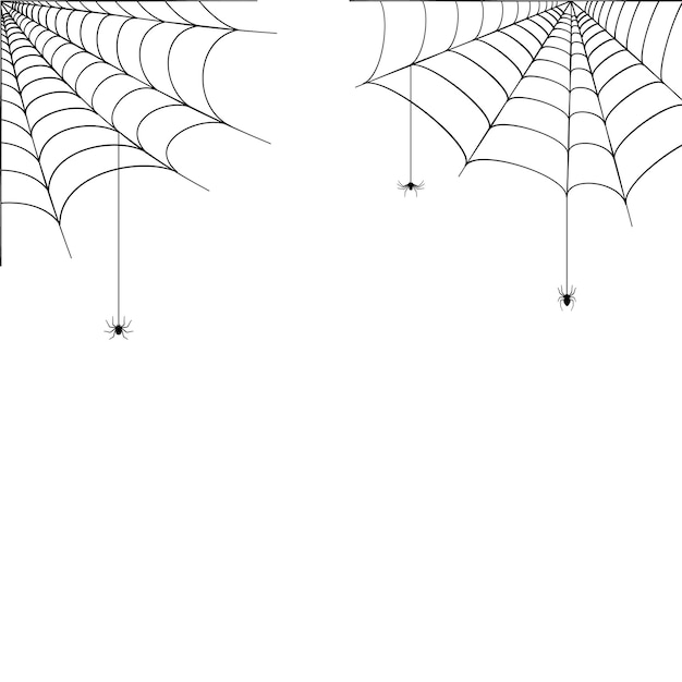 Spider web corner illustration. Halloween decoration with cobweb. Simple spiderweb vector