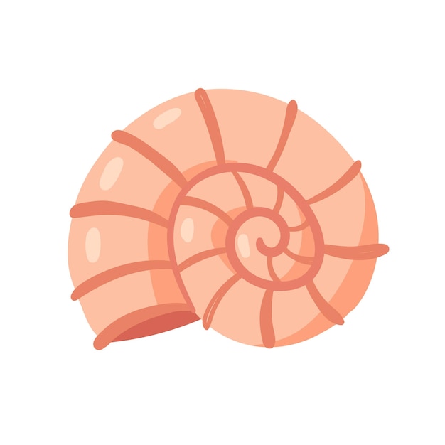 spiral shellfish mollusk animal from ocean marine life shell from tropical sea waters