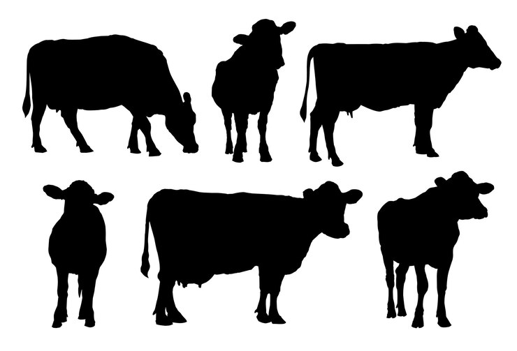 Vektor the set of cow silhouettes