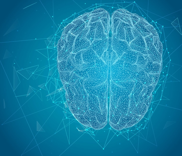 threedimensional vector cyber brain neural network megadata processing