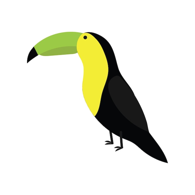 Toucan
