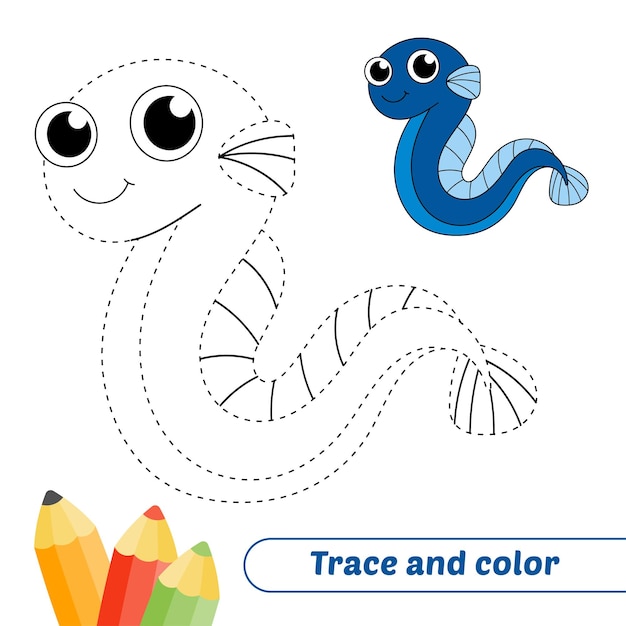 Trace and color for kids eel vector