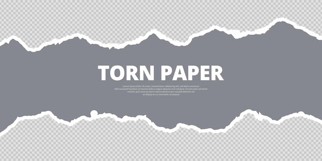 Transparent background grey color torn paper with ripped cut effect blank empty banner vector file
