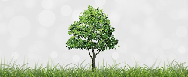 tree in green field with bokeh background..