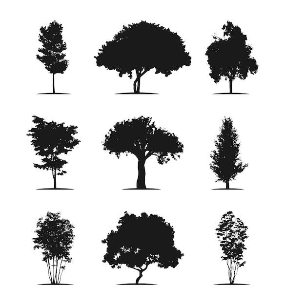 tree silhouette black tree illustration