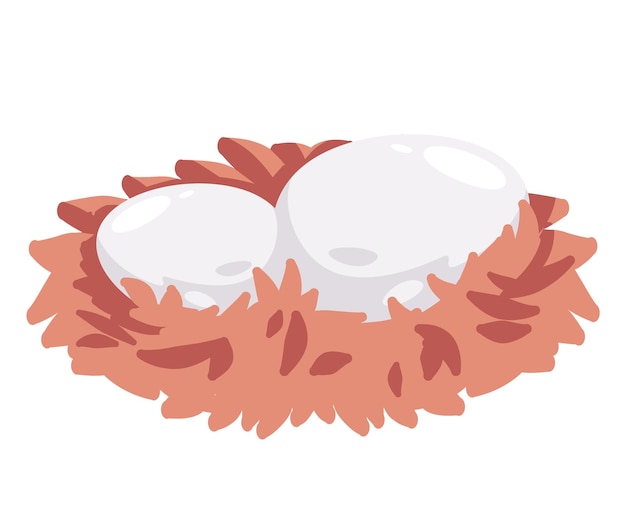 two eggs in bird nest or chicken hen vector illustration