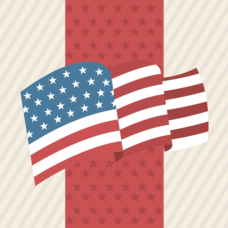 Vektor usa flag 