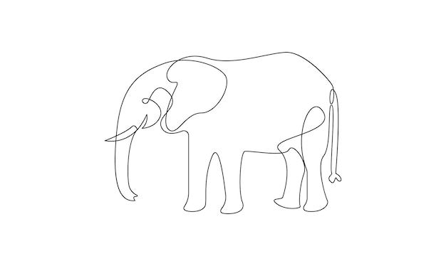 Vector continuous one simple single abstract line drawing of Elephant isolated on white background