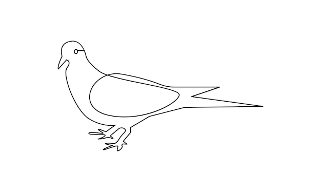Vector continuous one simple single abstract line drawing of pigeon bird