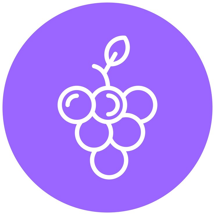 Vektor vector design grapes icon style