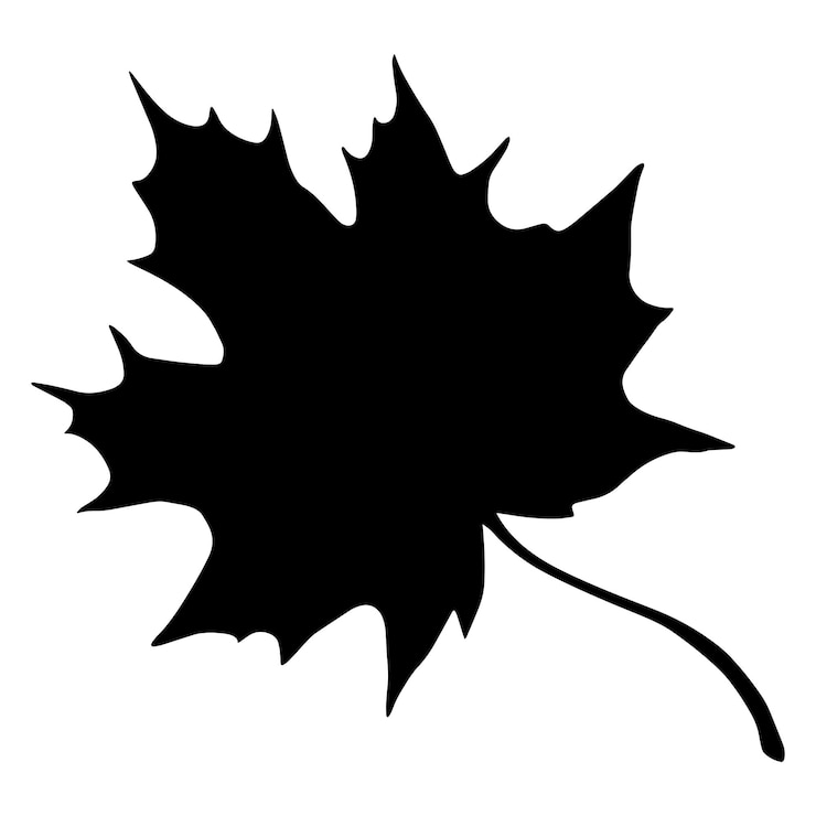 Vektor vector illustration of black silhouette of leaf isolated on white background