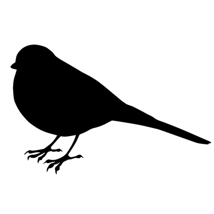Vektor vector illustration of black silhouette of small standing forest bird isolated on white background