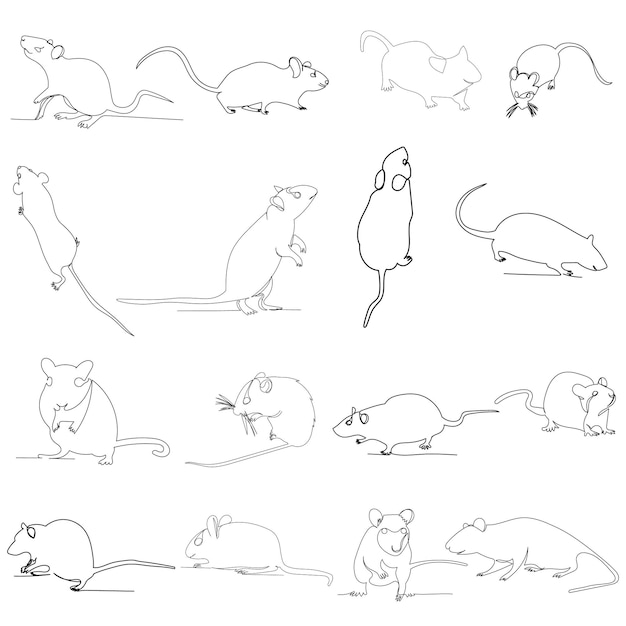 Vector isolated drawing with one continuous line rat mouse set
