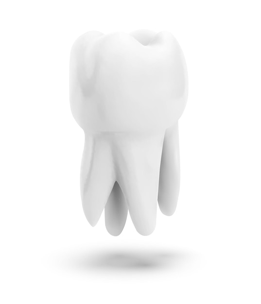 Vector molar tooth beauty and health tooth cleaning and personal care
