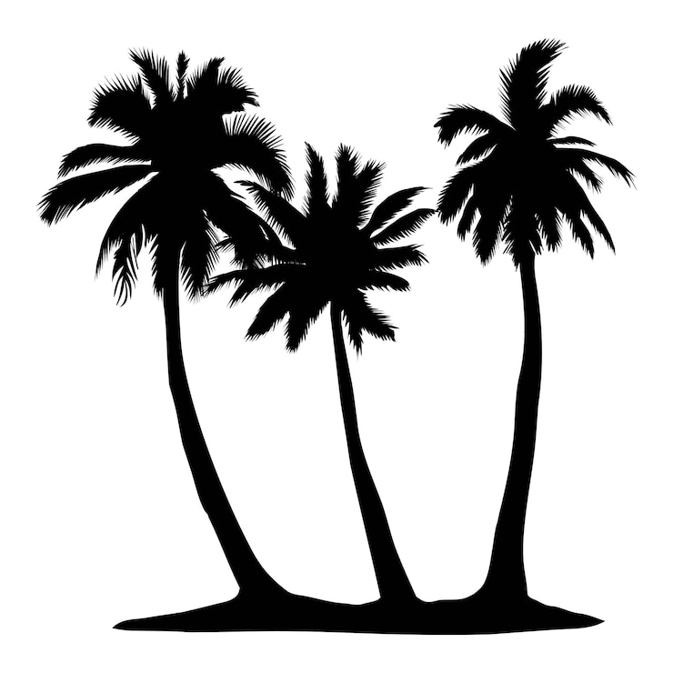 Vektor vector palm tree silhouette icons on white background.
