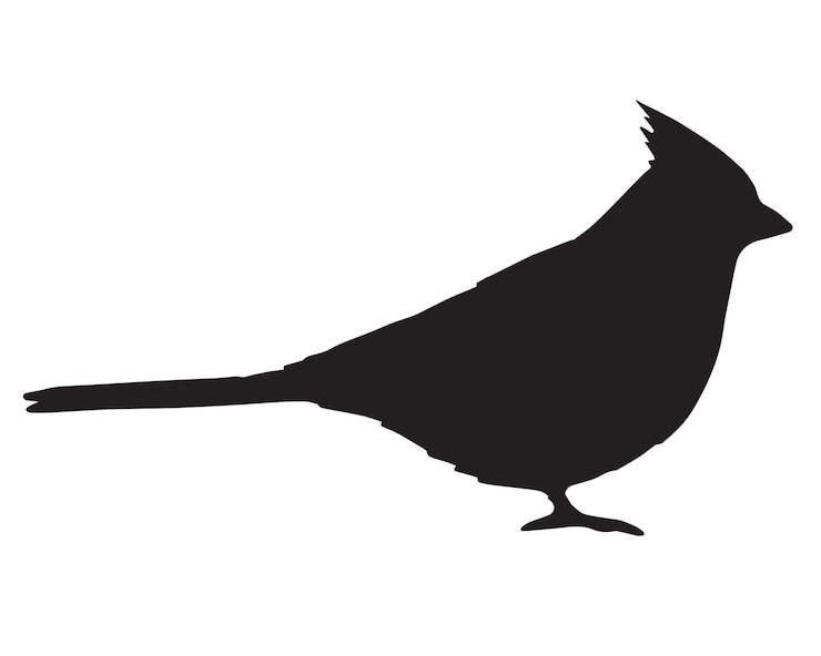 Vektor vector red cardinal bird silhouette isolated on white background