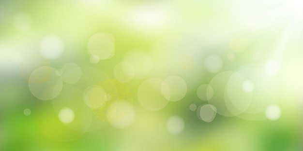 vector spring background bokeh effect sun rays vector illustration