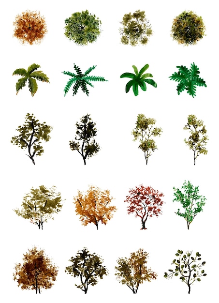 vector top view of trees and bushes vector illustrations set landscape elements for garden park