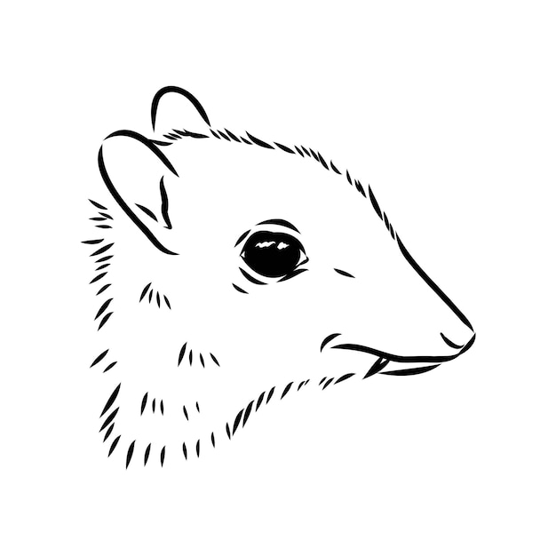 vektorové ikony s motivem myši jelena s nepřetržitými liniemi, symbol loga, ilustrace, grafický návrh