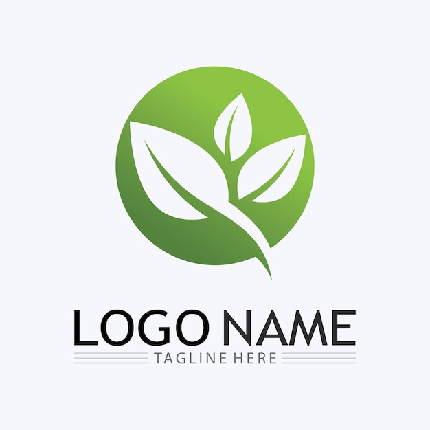 Vektorové logo Eco Energy se symbolem listu Zelená barva s grafikou blesku nebo hromu Obnovitelná energie z přírody a elektřiny Toto logo je vhodné pro recyklaci technologií a organické produkty